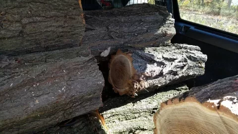 [Hearth.com] What kind of wood is this. I think/hope is ash