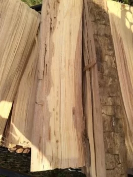 [Hearth.com] Wood ID... Stumped?