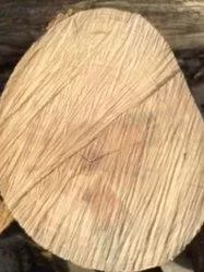 [Hearth.com] Wood ID... Stumped?