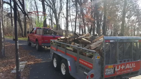 [Hearth.com] Nice haul today