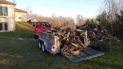 [Hearth.com] Nice haul today