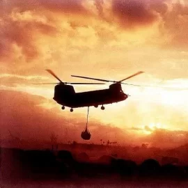 [Hearth.com] Thanks to all our Veterans!