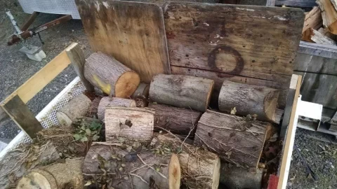 [Hearth.com] What kind of trees are these?