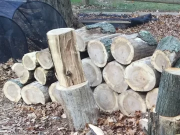 [Hearth.com] White Oak or Red Oak?  Way to easily differentiate?