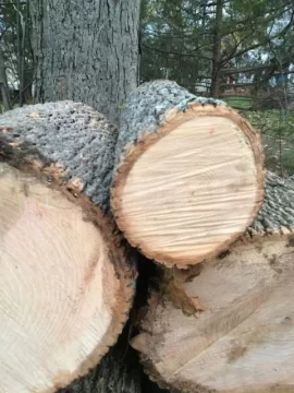 [Hearth.com] Wood ID