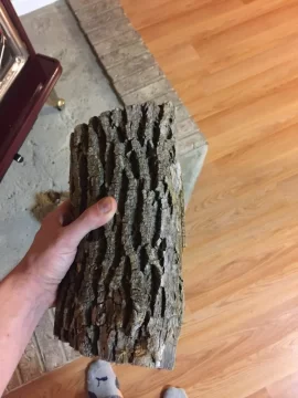 [Hearth.com] Help ID wood