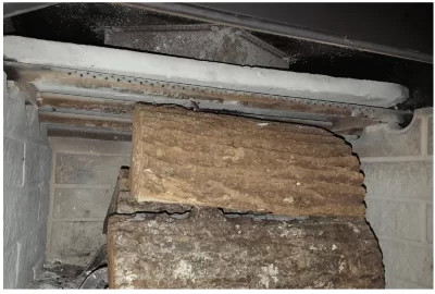 [Hearth.com] Fireplace Identification