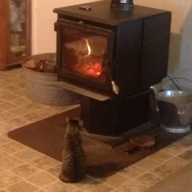 [Hearth.com] The Cat T.V.