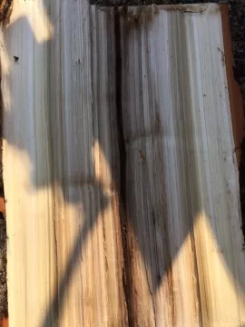 [Hearth.com] Today's Scrounge - Wood ID