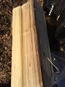 [Hearth.com] Today's Scrounge - Wood ID