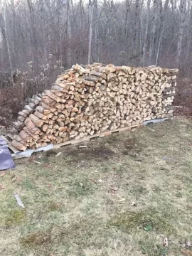 [Hearth.com] Today's Scrounge - Wood ID