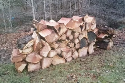 [Hearth.com] White oak score