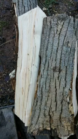 [Hearth.com] Wood ID in Southern CT
