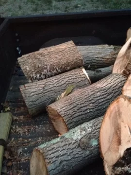 [Hearth.com] Wood ID in Southern CT