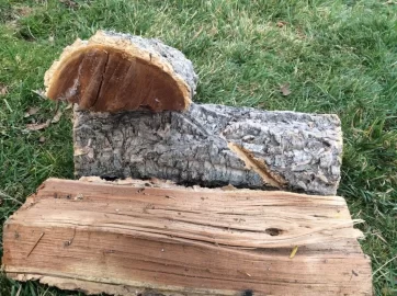 [Hearth.com] Wood ID Help