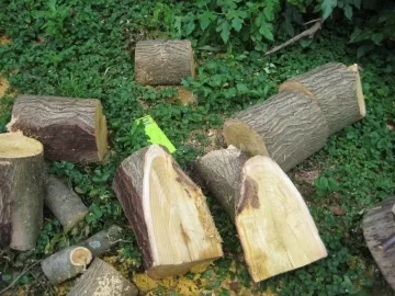 [Hearth.com] Wood ID Help
