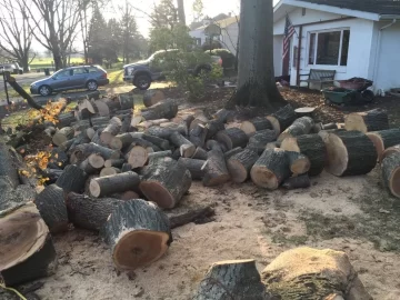 [Hearth.com] Just a little oak...