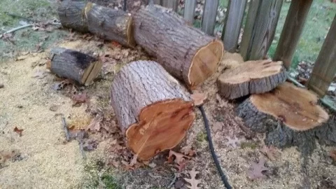 [Hearth.com] wood id, mulberry?