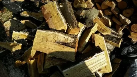 [Hearth.com] wood id, mulberry?