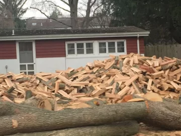 [Hearth.com] Just a little oak...