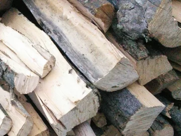 [Hearth.com] Firewood ID?