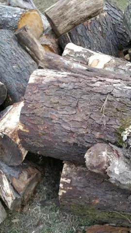 [Hearth.com] Wood ID.