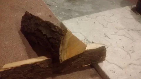 [Hearth.com] Wood ID.