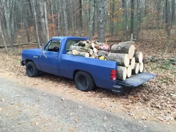 [Hearth.com] How much wood is this?