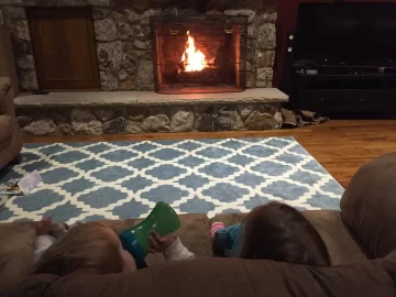 [Hearth.com] Fireplace Insert - Newbie