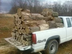 [Hearth.com] How much wood is this?