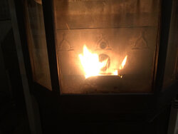 OMG I am really starting to hate my Austroflamm Pellet Stove.