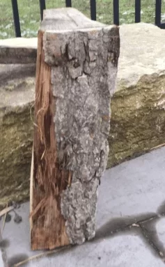 [Hearth.com] Can you please identify this type of wood?