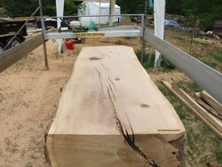 What to do with large maple trees?