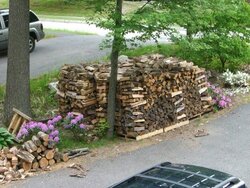 My wood pile (the wood borg?)