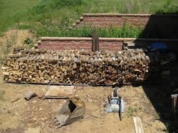 Started my first wood pile
