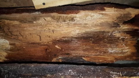 [Hearth.com] Nice little scrounge for me