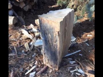 [Hearth.com] Can you please identify this type of wood?