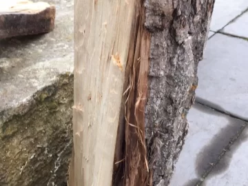 [Hearth.com] Can you please identify this type of wood?