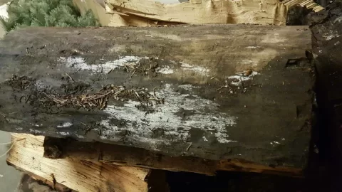 [Hearth.com] Can you please identify this type of wood?