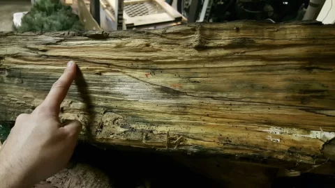 [Hearth.com] Can you please identify this type of wood?