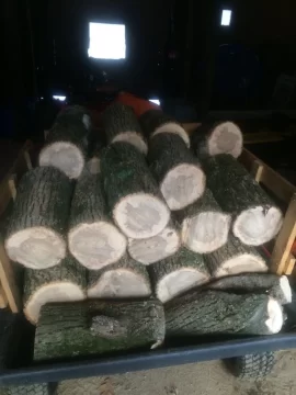 [Hearth.com] Let's play, Is It Oak or Ash?