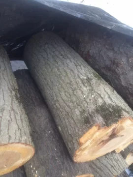 [Hearth.com] Let's play, Is It Oak or Ash?