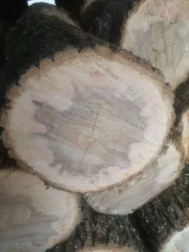 [Hearth.com] Let's play, Is It Oak or Ash?