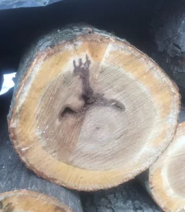 [Hearth.com] Let's play, Is It Oak or Ash?
