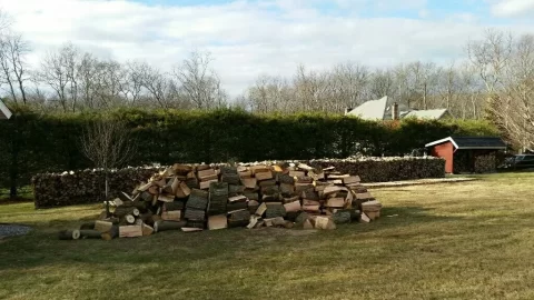 [Hearth.com] Honestly, do I have too much wood?