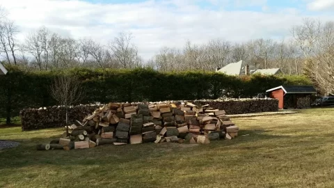 [Hearth.com] Honestly, do I have too much wood?
