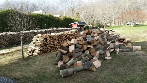 [Hearth.com] Honestly, do I have too much wood?