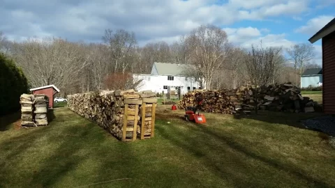 [Hearth.com] Honestly, do I have too much wood?