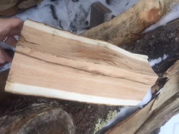 [Hearth.com] Let's play, Is It Oak or Ash?
