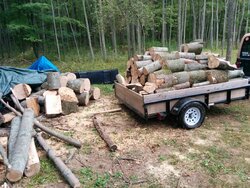 estimating wood weight for trailer hauling